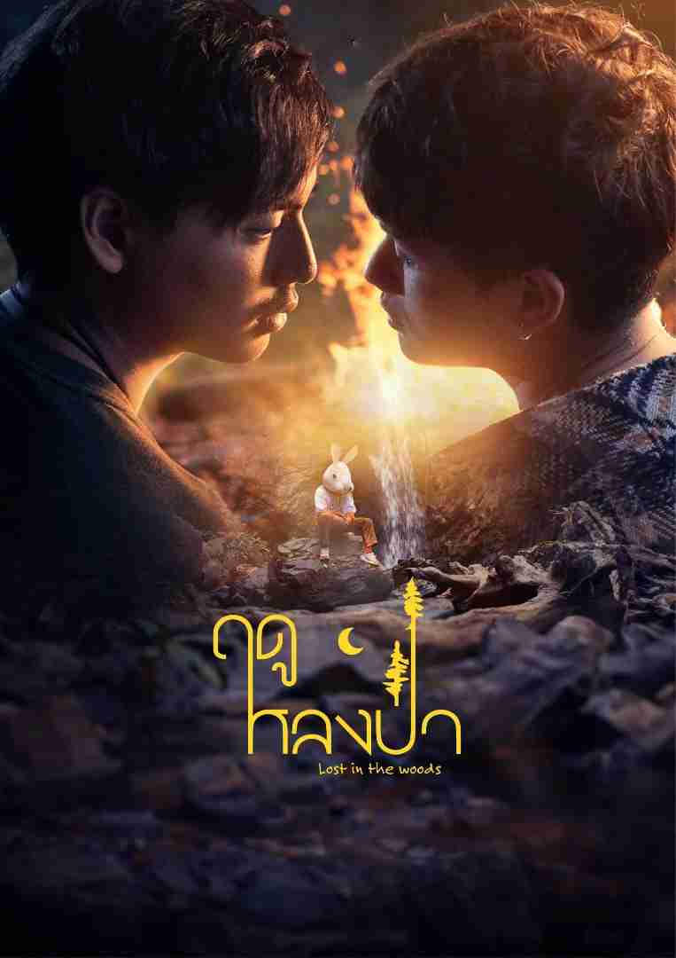 Phim Mùa Lạc Trong Rừng